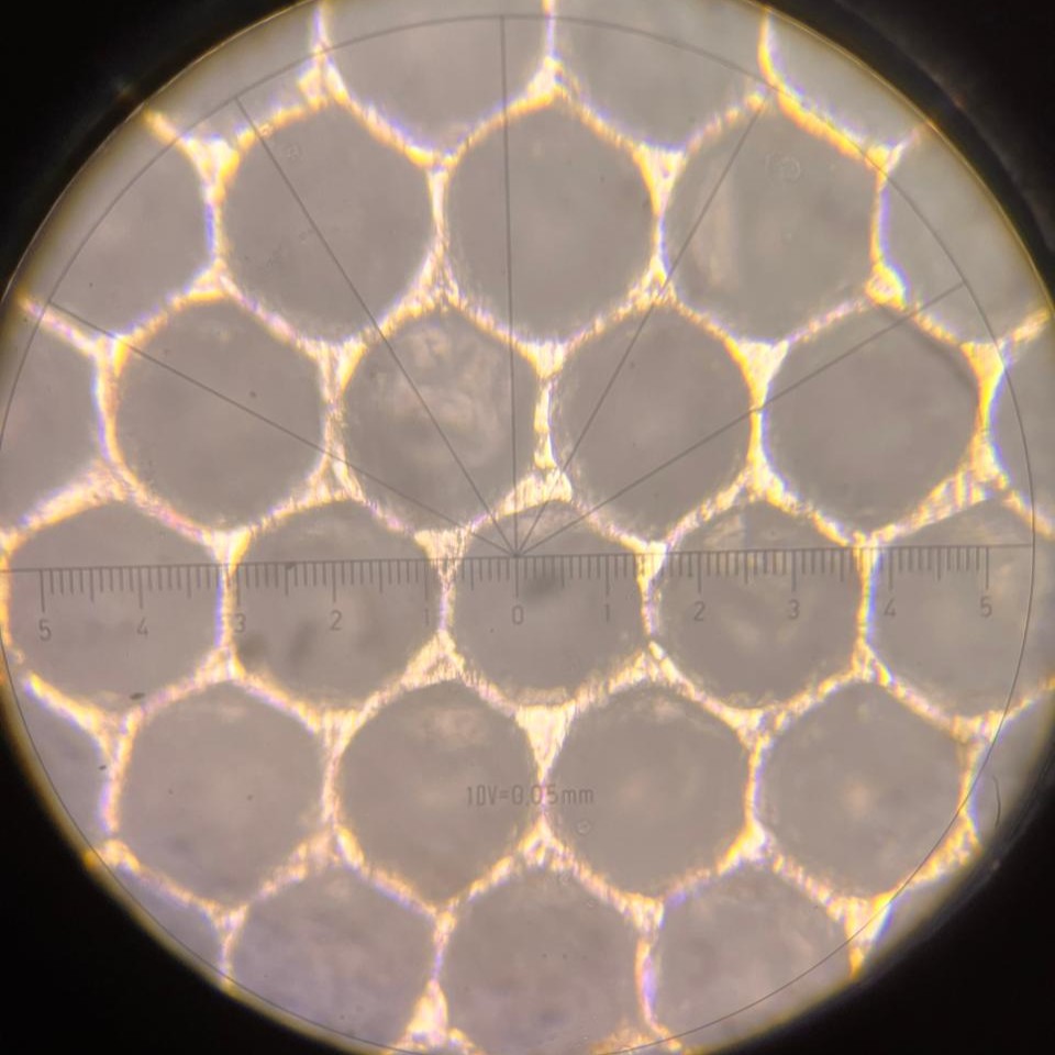 anilox cells before cleaning